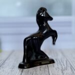 Изображение — kon stojka chyornyj (6)